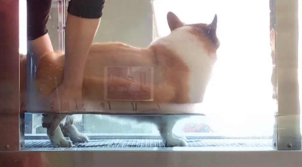診療のご案内image